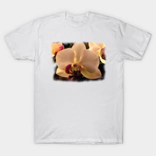 Orchid in light T-Shirt